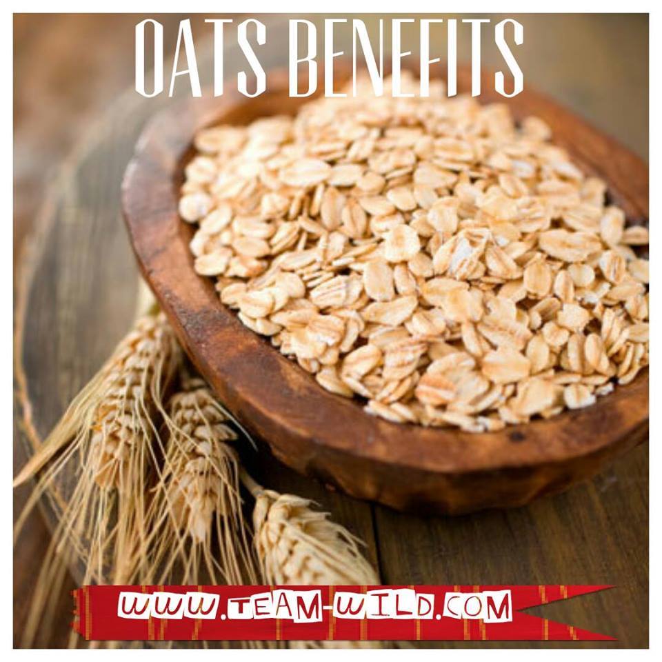 Why Should One Consider Oats? | TEAM WILD