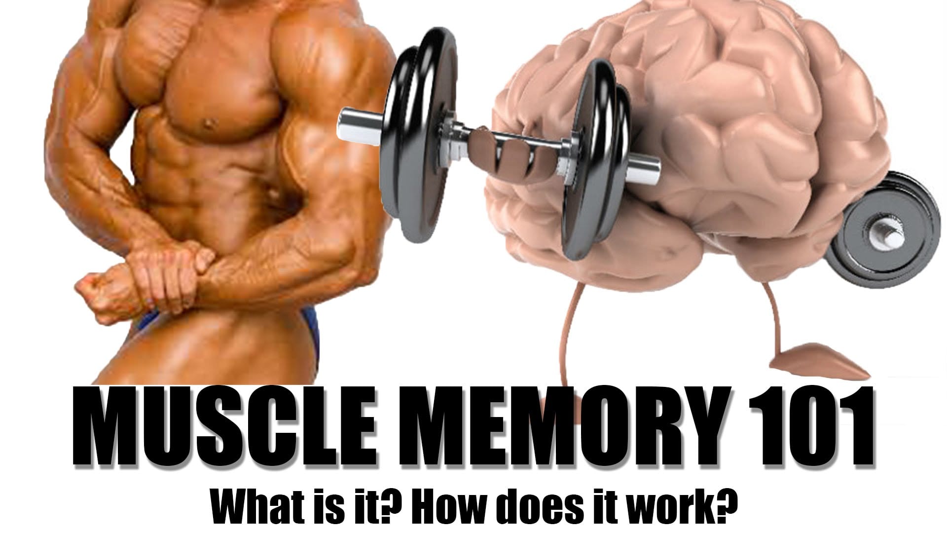 the-theory-of-muscle-memory-team-wild