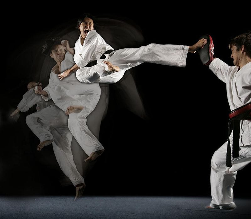 why-martial-arts-should-be-a-part-of-your-primal-routine-team-wild