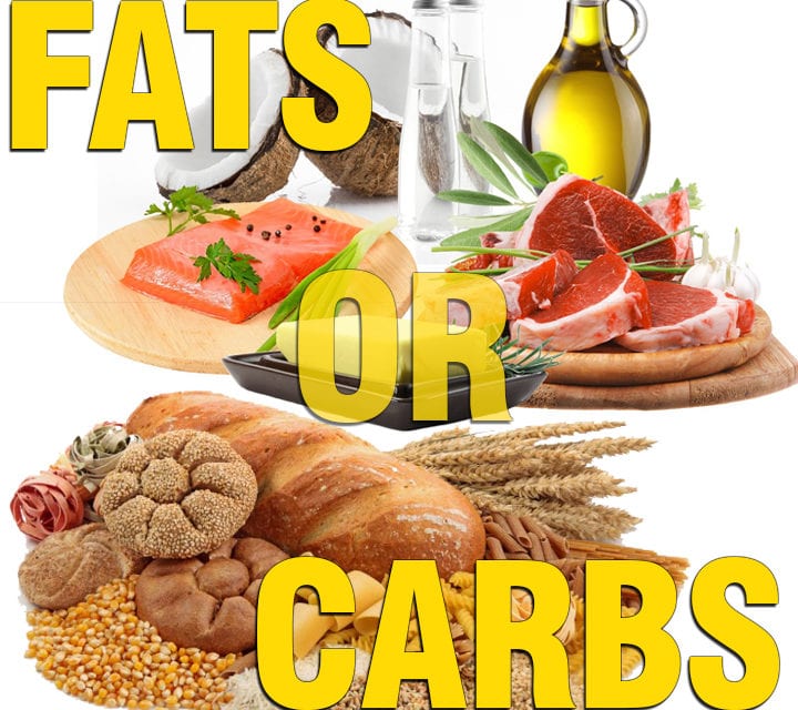 Which Is Better For Fat Loss? High Fat, High Carb or Mixed? | TEAM WILD