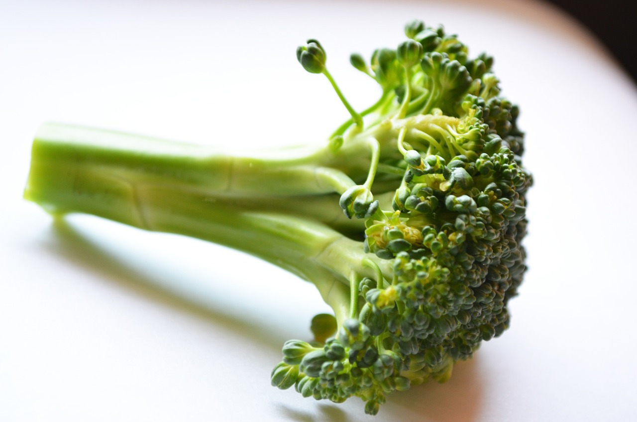 How Broccoli Sprout Powder Can Boost Your Energy TEAM WILD